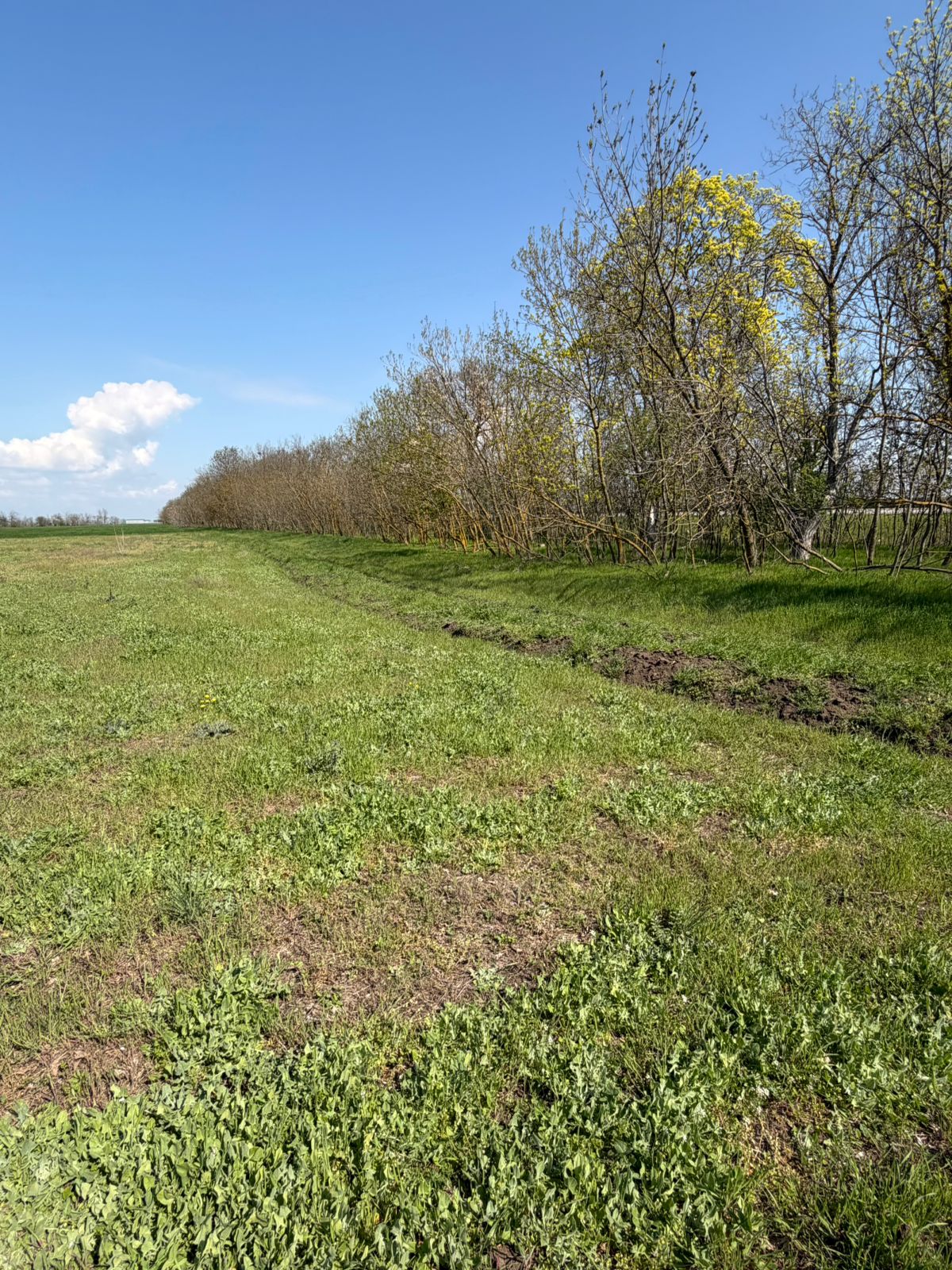 Фасадный земельный участок на Киевской трассе (въезд в Одессу) ID 54190 (Фото 2)