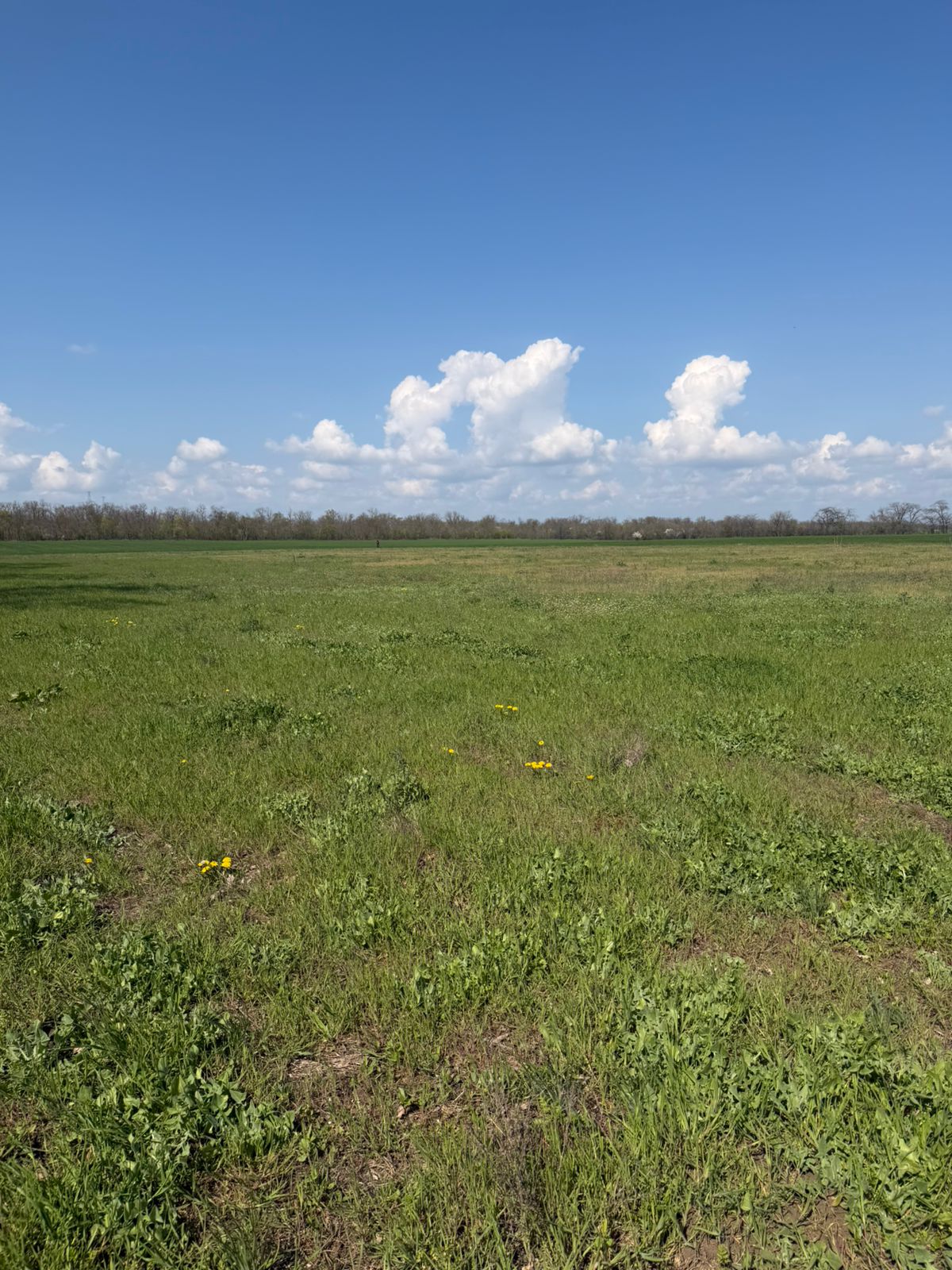 Фасадный земельный участок на Киевской трассе (въезд в Одессу) ID 54190 (Фото 3)