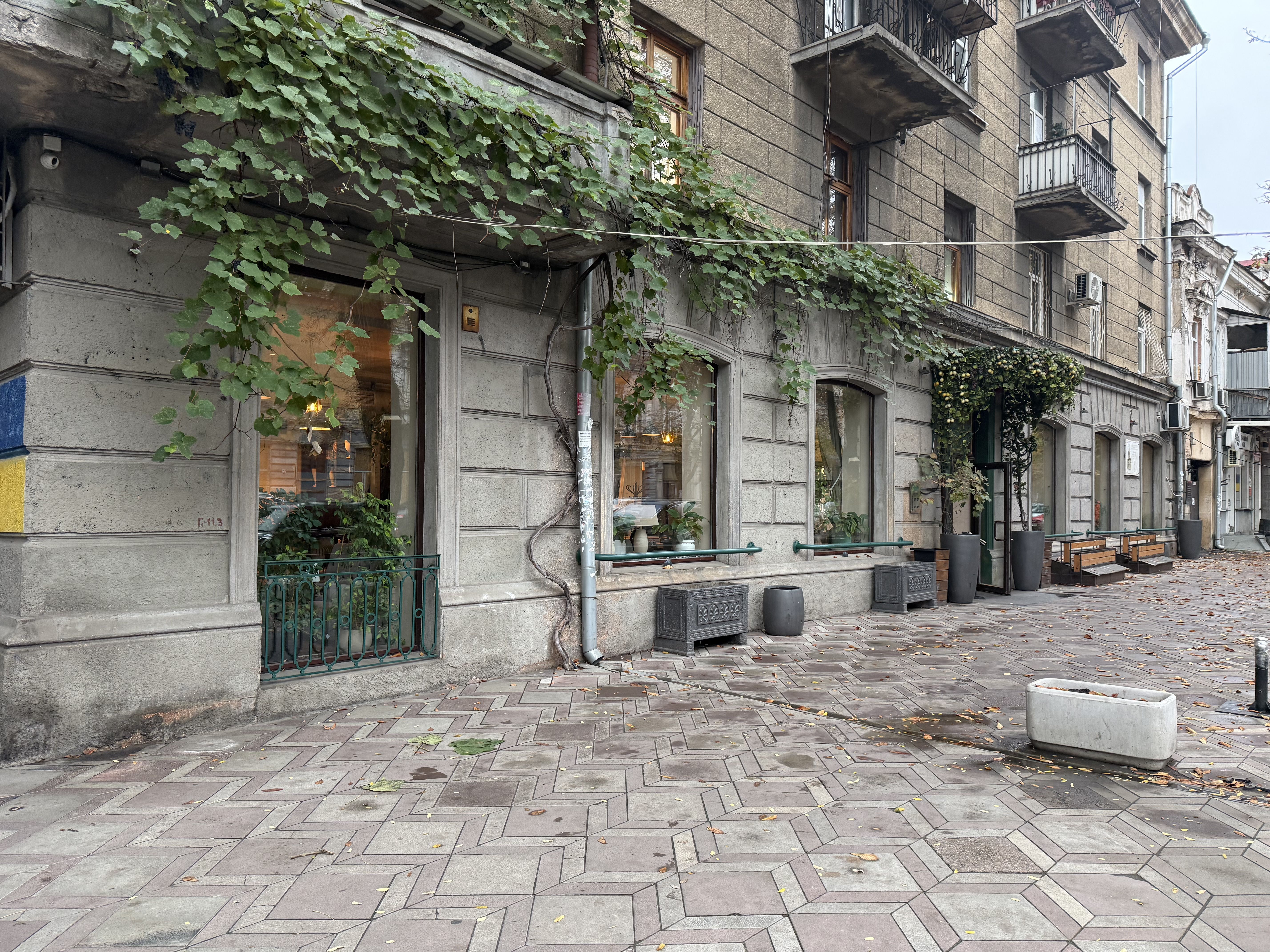 Аренда кафе-магазина 270 м2  по ул. Европейская (Екатерининская)  ID 54463 (Фото 11)